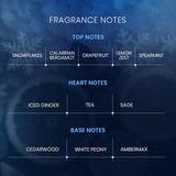 Riffs Freeze 100ml Extrait de Parfum